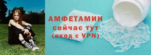 прущие грибы Новозыбков
