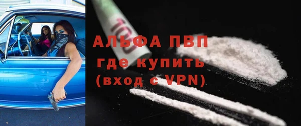 гидра Абаза