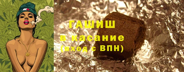 прущие грибы Новозыбков