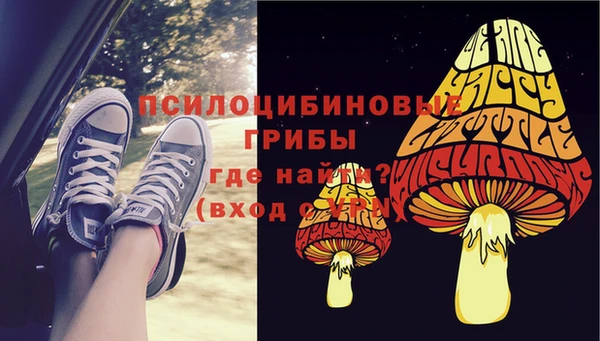 гидра Абаза