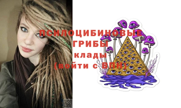 гидра Абаза