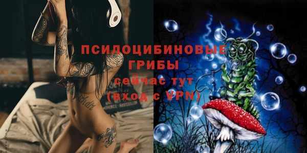 шишки Абдулино