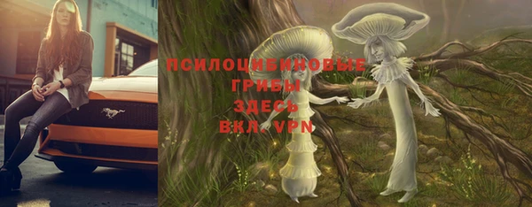 эйфоретик Алексин