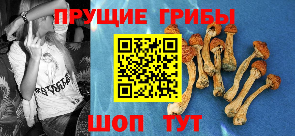 Галлюциногенные грибы прущие грибы Ростов-на-Дону