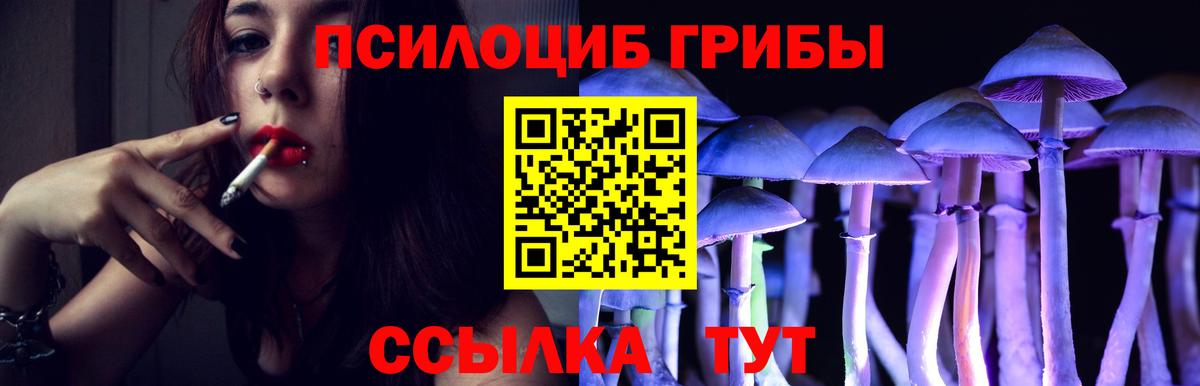 Псилоцибиновые грибы мицелий  Псилоцибиновые грибы прущие грибы  Вход с VPN  Ростов-на-Дону 